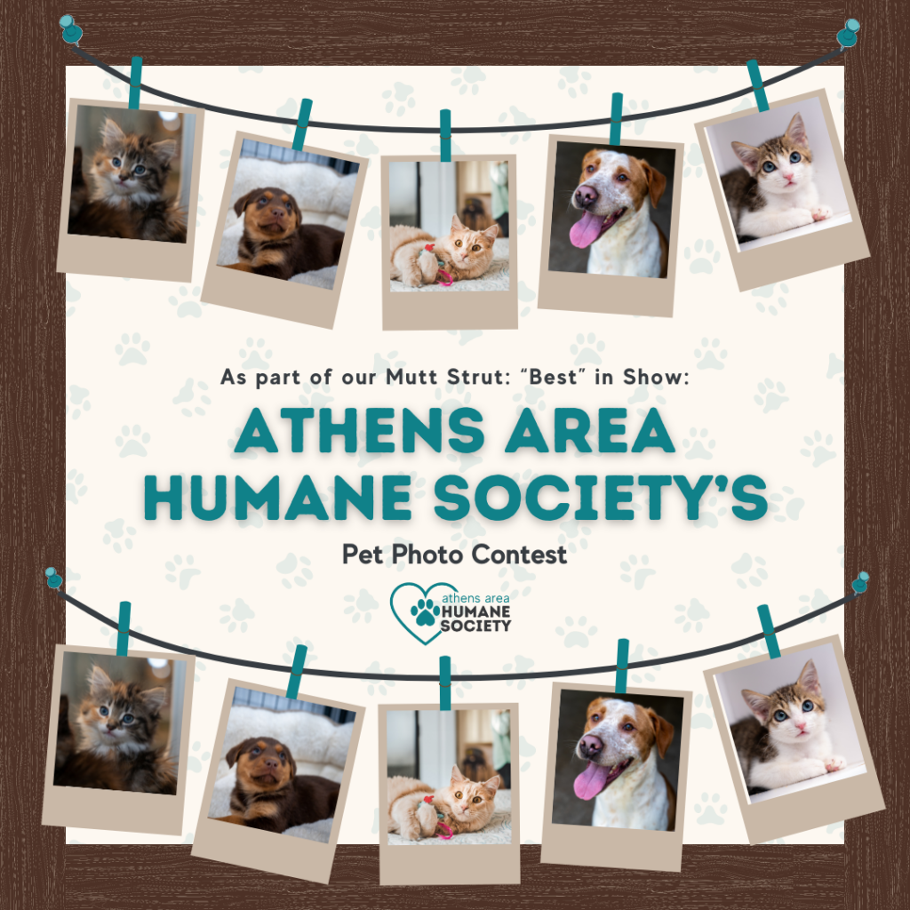 2024 Mutt Strut: 'Best' in Show! - Athens Area Humane Society
